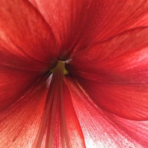 Meet your Posher, Eva